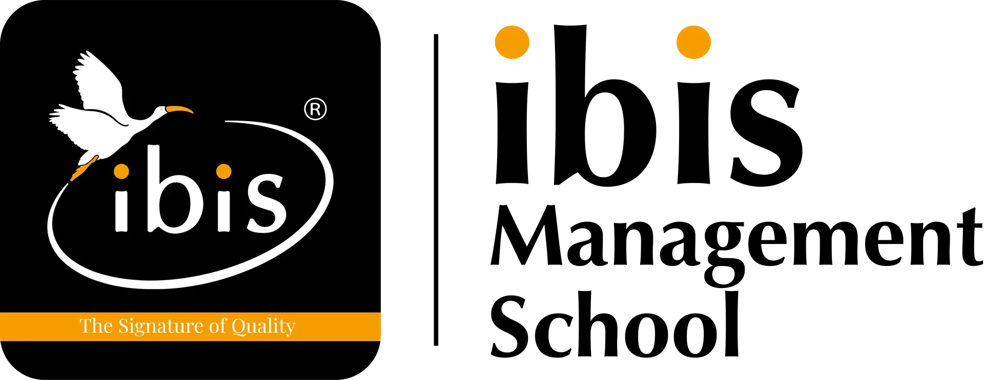 Ibis Management School